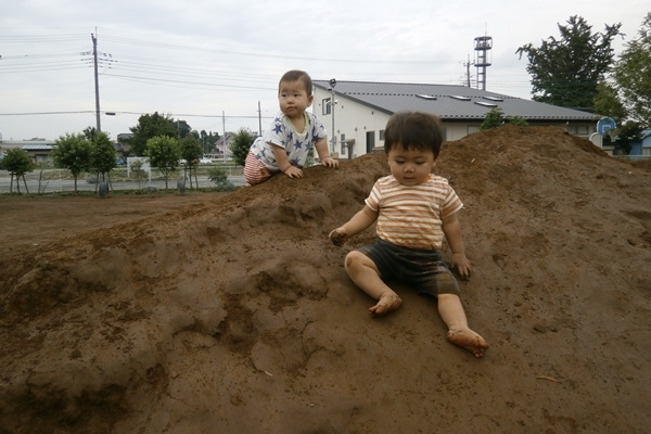 p53103417b9a.jpg