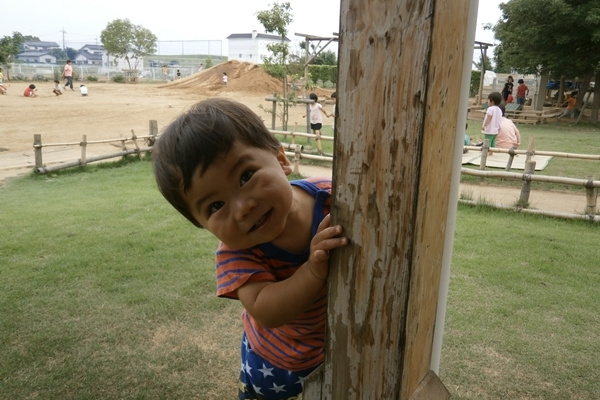 p52803187b9a.jpg