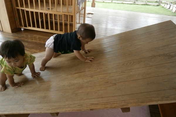 p60804447b9a.jpg