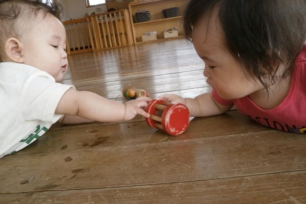 p52802867b9a.jpg