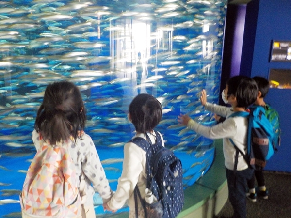 img202110251054234122407b9a.jpg