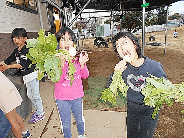 img202110252001565451077b9a.jpg